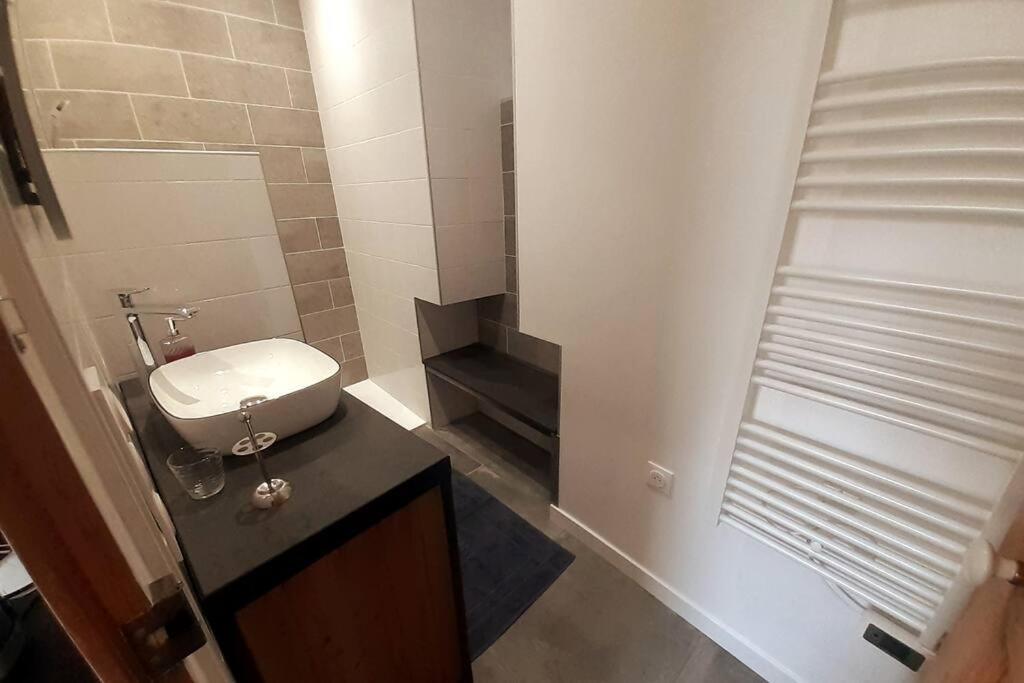 Classe 4 Etoiles - Cybele - Centre Ville 2 Chambres, Cour Privative Et Garage Vienne  Exterior photo